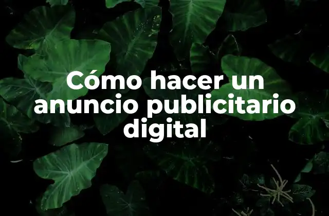 Cómo Hacer un Anuncio Publicitario Digital