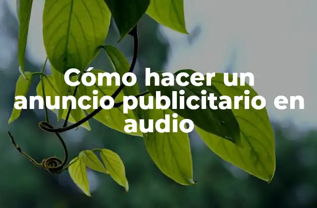 Cómo Hacer un Anuncio Publicitario en Audio