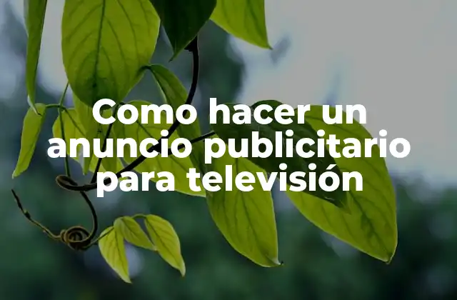 Como Hacer un Anuncio Publicitario para Televisión