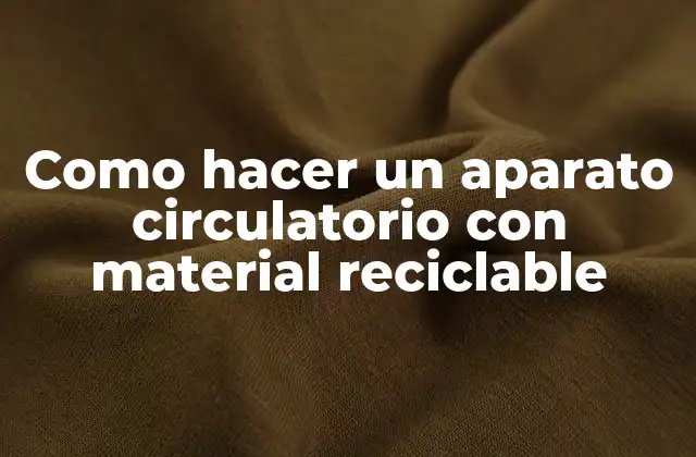 Como Hacer un Aparato Circulatorio con Material Reciclable 2 Como hacer un aparato circulatorio con material reciclable