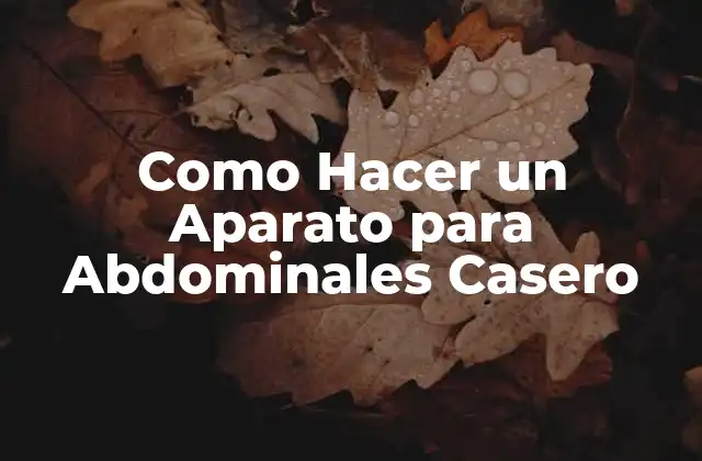 Como Hacer un Aparato para Abdominales Casero