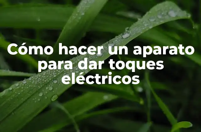 Cómo Hacer un Aparato para Dar Toques Eléctricos