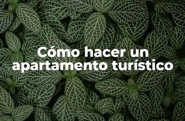 Cómo Hacer un Apartamento Turístico
