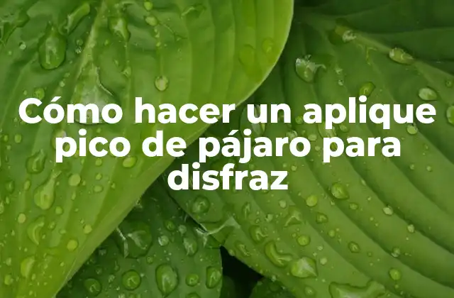 Cómo Hacer un Aplique Pico de Pájaro para Disfraz