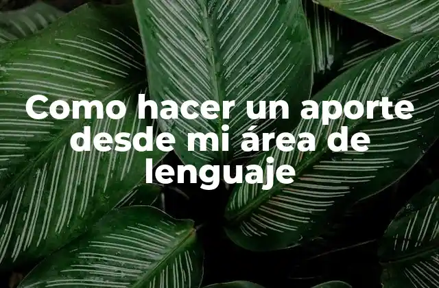 Como Hacer un Aporte desde Mi Área de Lenguaje