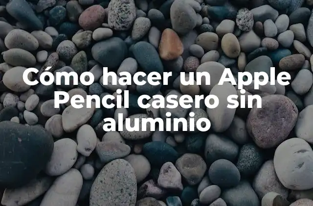 Cómo Hacer un Apple Pencil Casero sin Aluminio