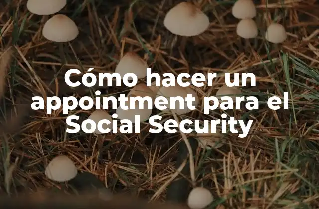Cómo Hacer un Appointment para el Social Security