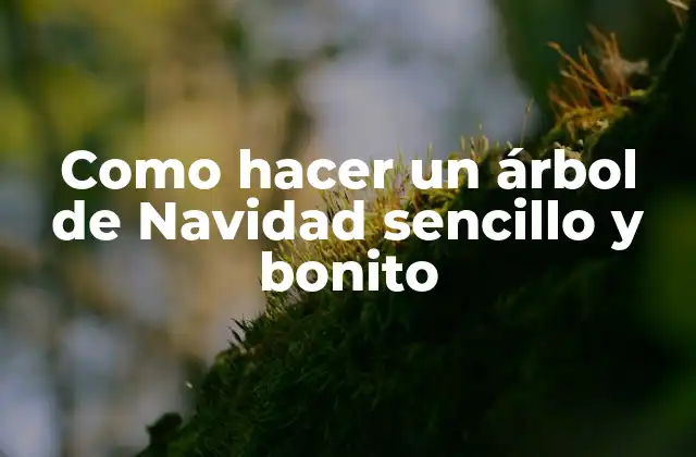 Como Hacer un Árbol de Navidad Sencillo y Bonito