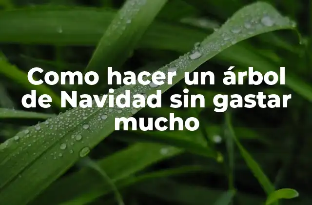 ¿Qué es un árbol de Navidad económico?