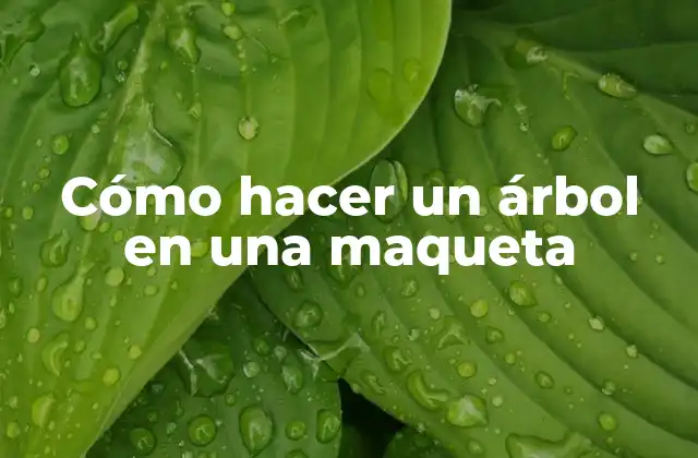 Cómo Hacer un Árbol en una Maqueta 2 Cómo hacer un árbol en una maqueta
