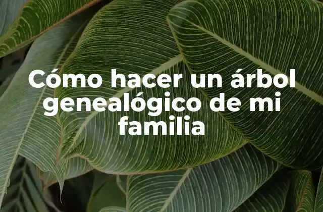 Cómo Hacer un Árbol Genealógico de Mi Familia