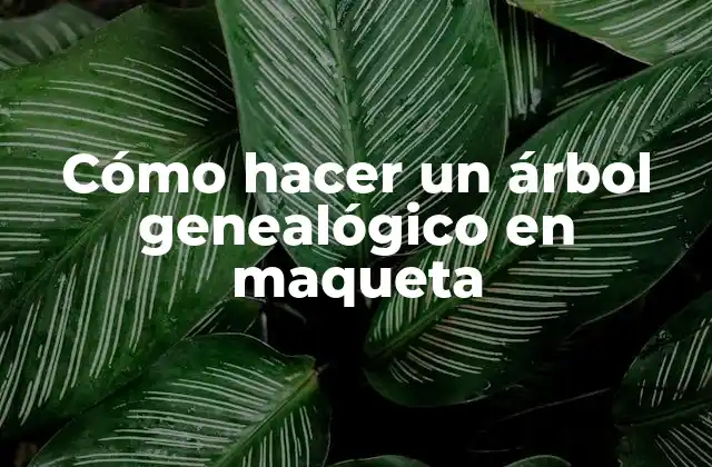 Cómo Hacer un Árbol Genealógico en Maqueta