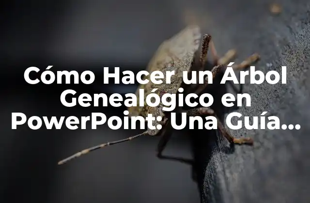 Cómo Hacer un Árbol Genealógico en Powerpoint: una Guía Detallada