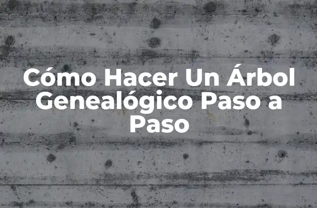 Cómo Hacer un Árbol Genealógico Paso a Paso 2 ¿Por Qué es Importante la Creación de un Árbol Genealógico?