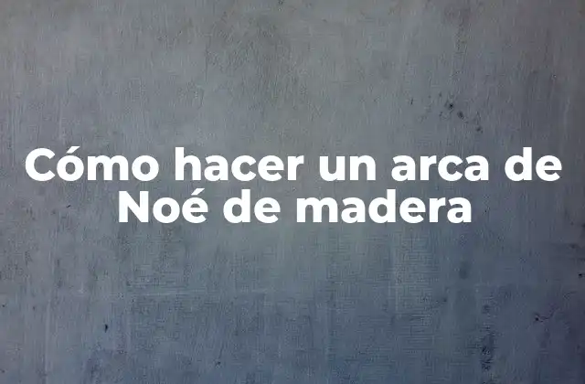 ¿Qué es un arca de Noé de madera y para qué sirve?