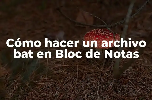 Cómo Hacer un Archivo Bat en Bloc de Notas