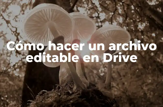 Cómo Hacer un Archivo Editable en Drive