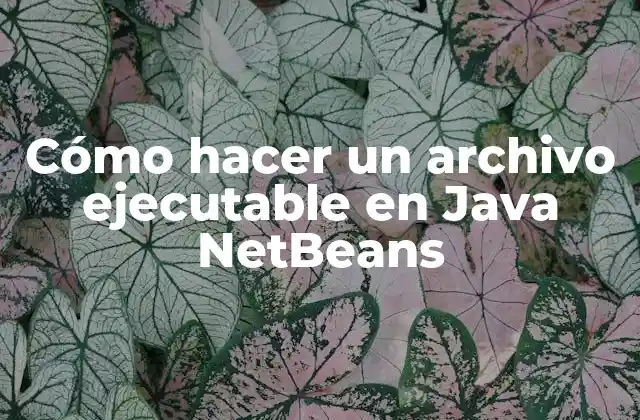Cómo Hacer un Archivo Ejecutable en Java Netbeans