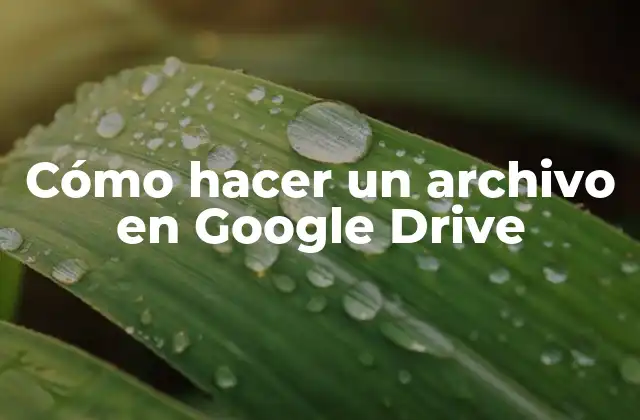 Cómo Hacer un Archivo en Google Drive