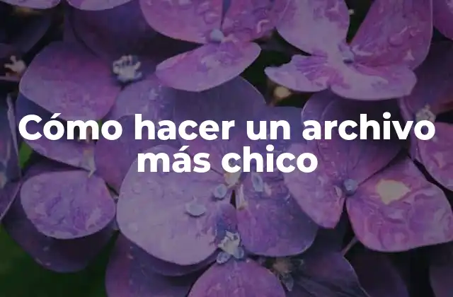Cómo Hacer un Archivo Más Chico