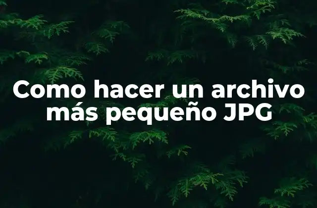 Como Hacer un Archivo Más Pequeño Jpg