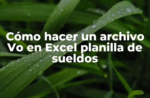 Cómo Hacer un Archivo Vo en Excel Planilla de Sueldos
