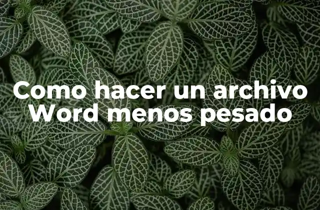 Como Hacer un Archivo Word Menos Pesado