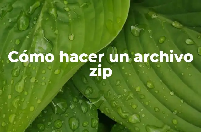 Cómo Hacer un Archivo Zip