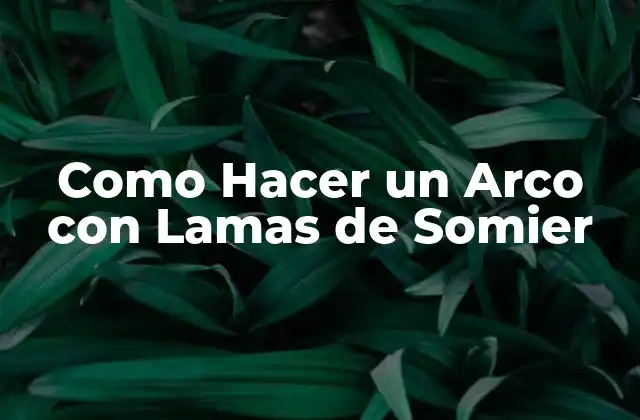 Como Hacer un Arco con Lamas de Somier