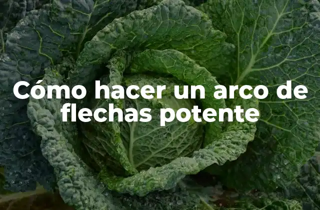 Cómo Hacer un Arco de Flechas Potente
