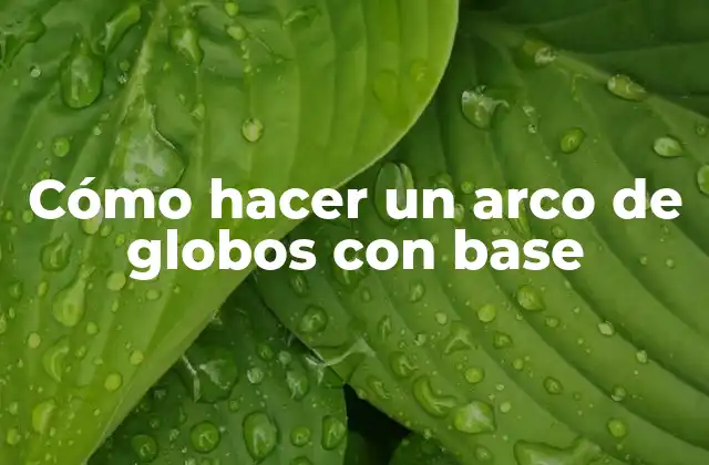 Cómo Hacer un Arco de Globos con Base 2 Cómo hacer un arco de globos con base