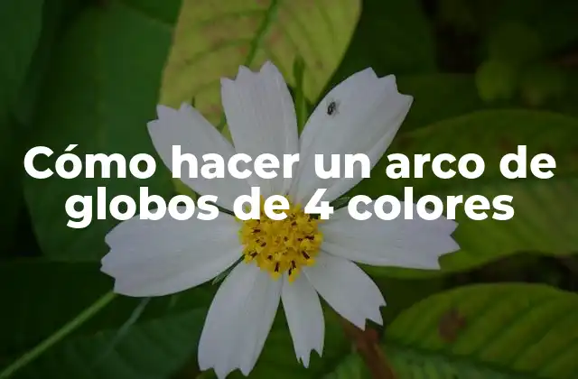 Cómo Hacer un Arco de Globos de 4 Colores