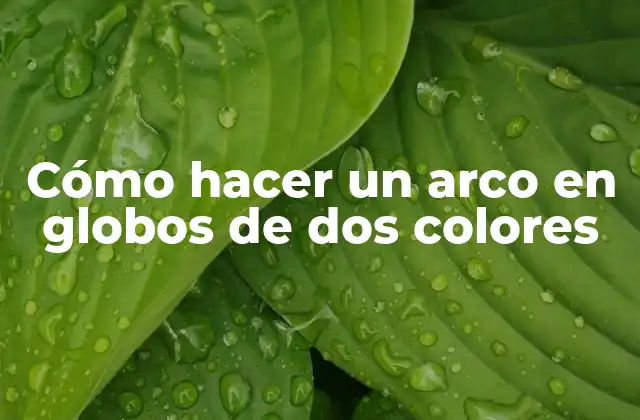 Cómo Hacer un Arco en Globos de Dos Colores