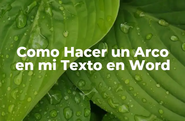 Como Hacer un Arco en Mi Texto en Word