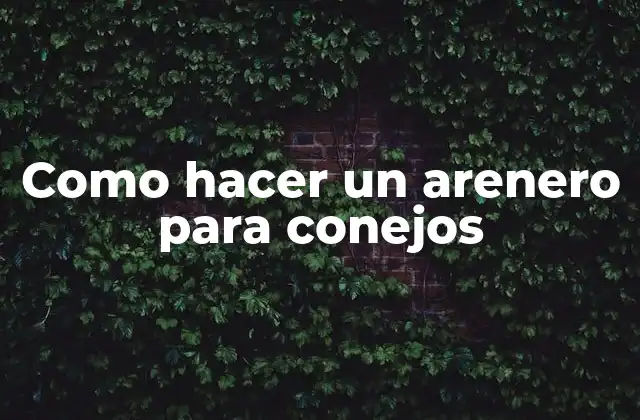 Como Hacer un Arenero para Conejos