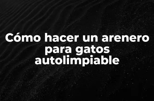 Cómo Hacer un Arenero para Gatos Autolimpiable