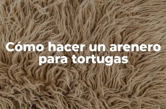 Cómo Hacer un Arenero para Tortugas