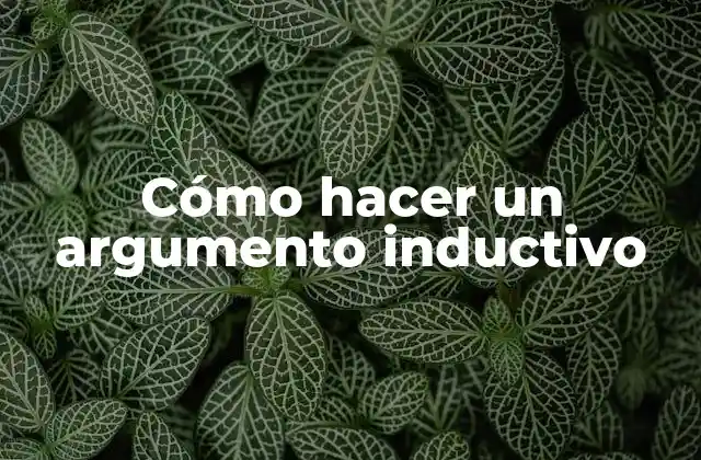 Cómo Hacer un Argumento Inductivo
