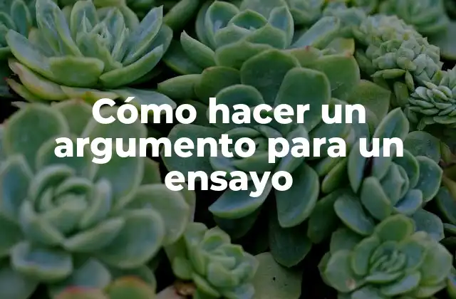 Cómo Hacer un Argumento para un Ensayo