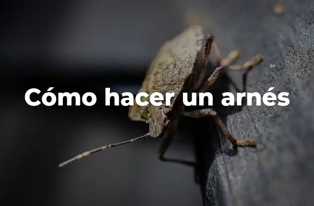 Cómo Hacer un Arnés