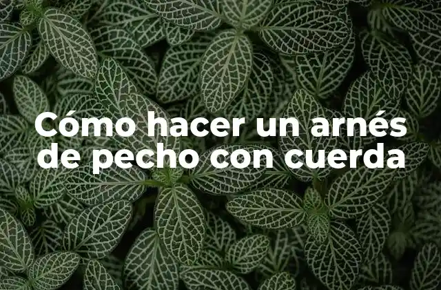 Cómo Hacer un Arnés de Pecho con Cuerda