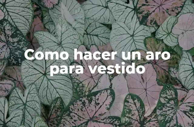 Como Hacer un Aro para Vestido