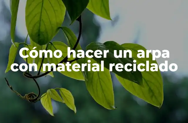 Cómo Hacer un Arpa con Material Reciclado