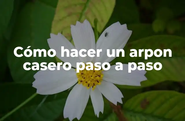 Cómo Hacer un Arpon Casero Paso a Paso