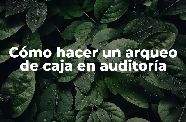 Cómo Hacer un Arqueo de Caja en Auditoría