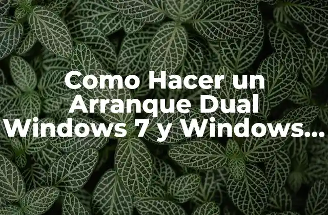 Como Hacer un Arranque Dual Windows 7 y Windows 10