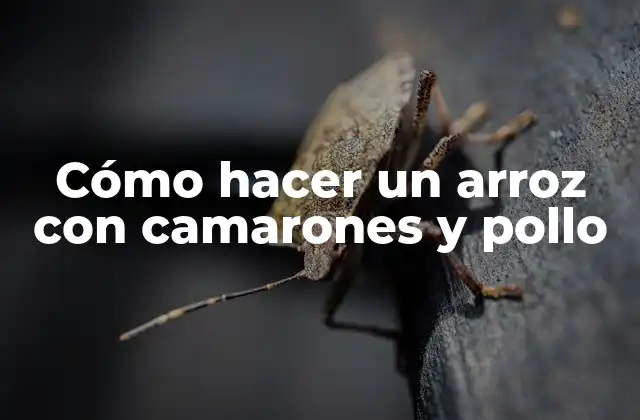 Cómo Hacer un Arroz con Camarones y Pollo