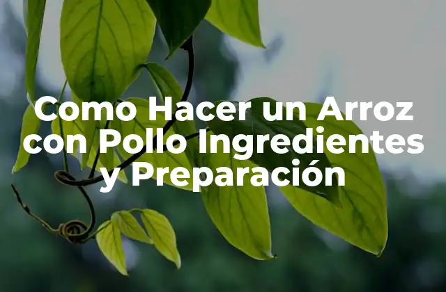 Como Hacer un Arroz con Pollo Ingredientes y Preparación