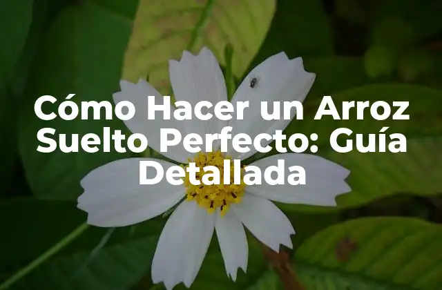 Cómo Hacer un Arroz Suelto Perfecto: Guía Detallada