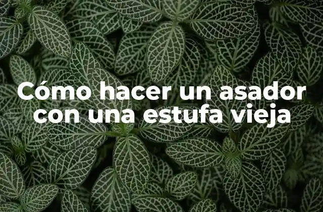 Cómo Hacer un Asador con una Estufa Vieja